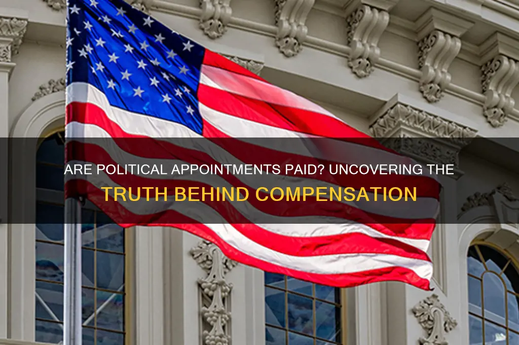 are political appointments paid