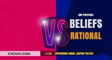 Are Political Beliefs Rational? Exploring the Logic Behind Ideologies