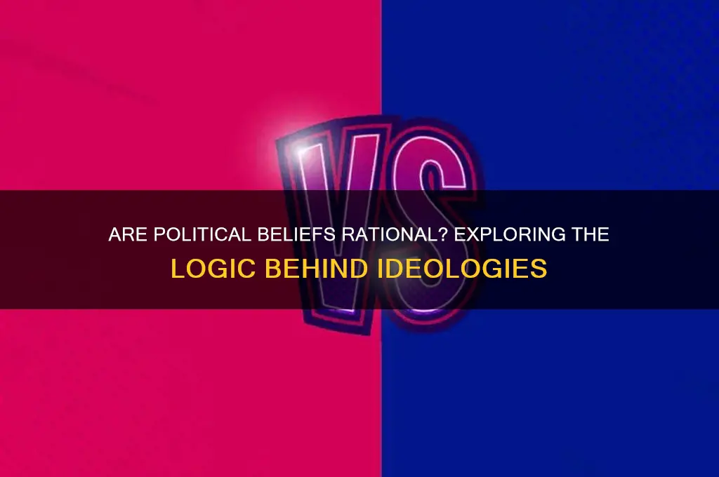 are political beliefs rational
