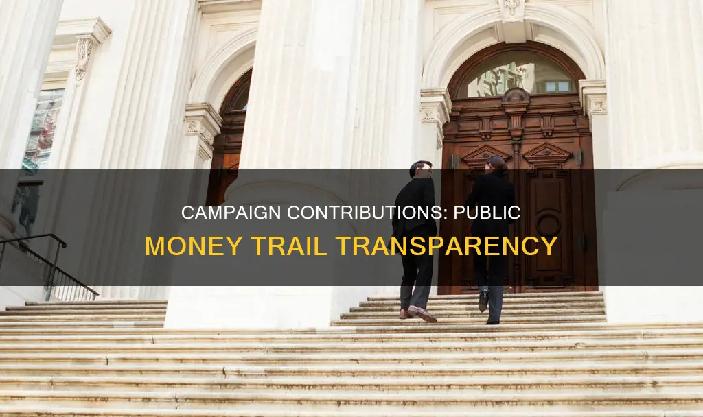 are political campaign contributions public record