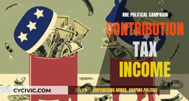 Political Campaign Contributions: Taxable Income or Not?