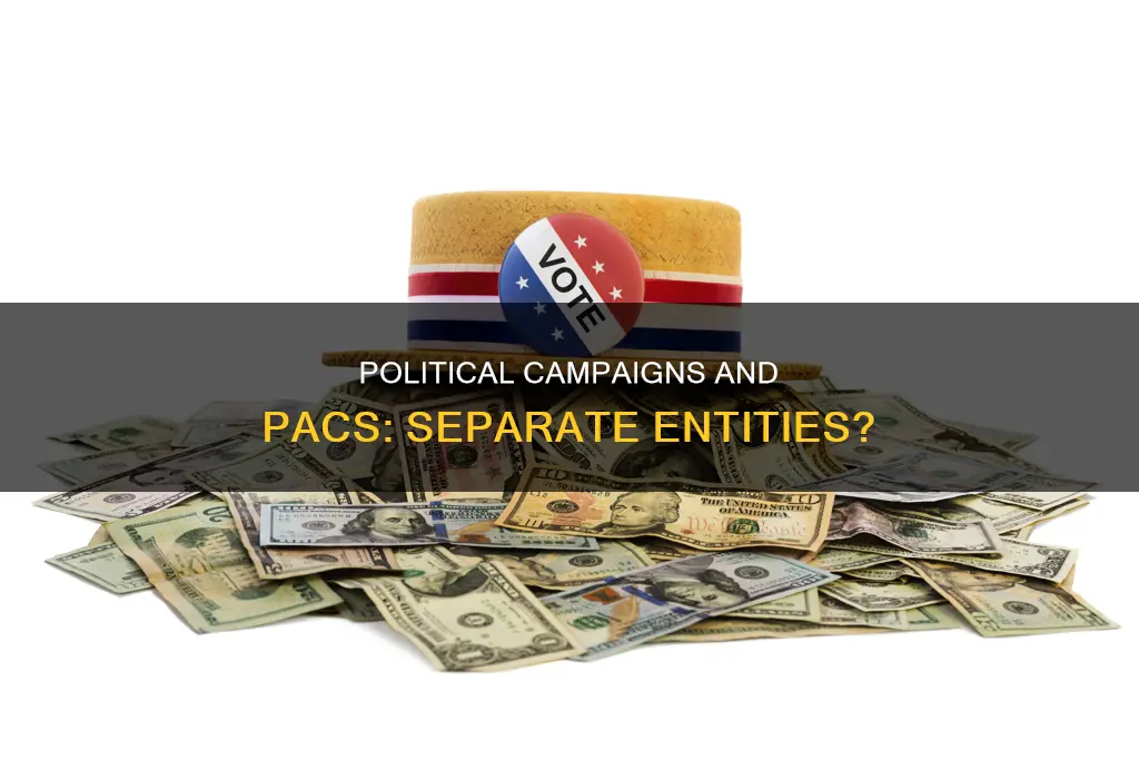 are political campaigns & palitical action committee kept separately