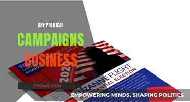 Political Campaigns: Business or Public Service?