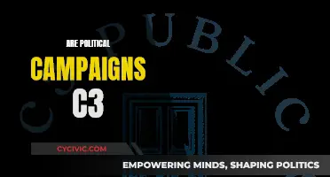 Political Campaigns: C3 Status and Its Implications