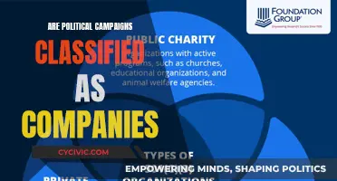 Political Campaigns: Commercial Entities or Not?