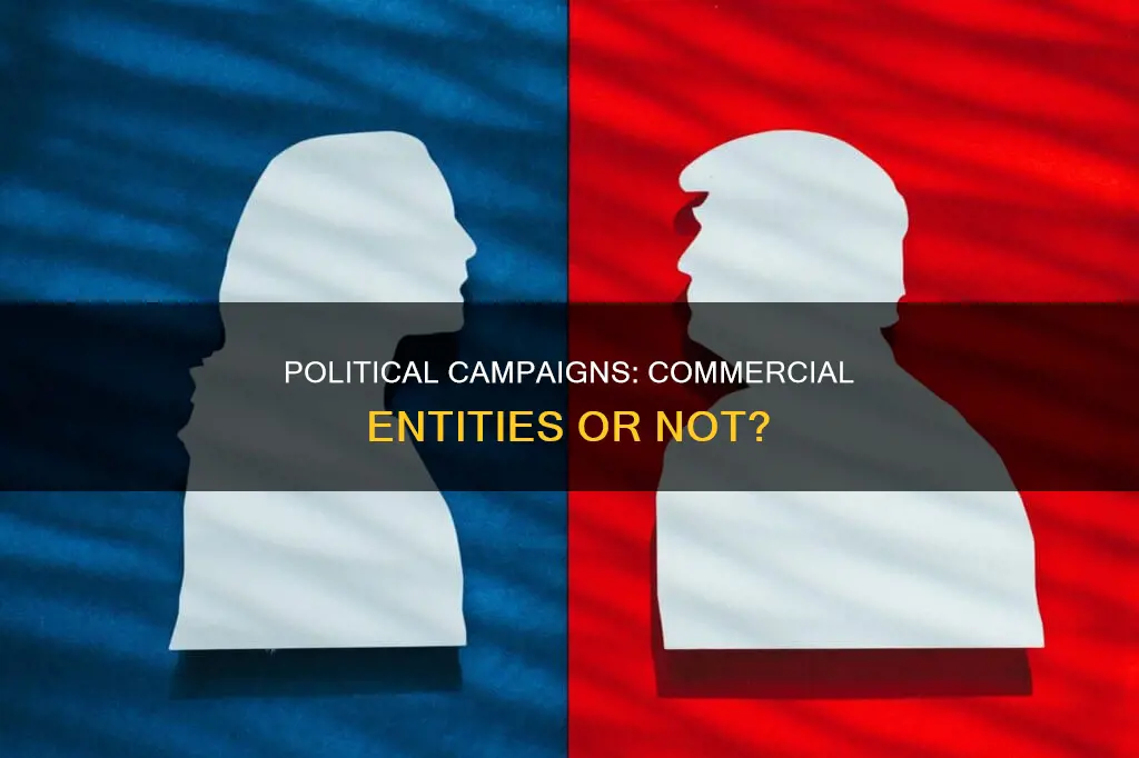are political campaigns classified as companies