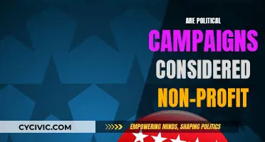 Political Campaigns: Non-Profit or Profit-Driven?