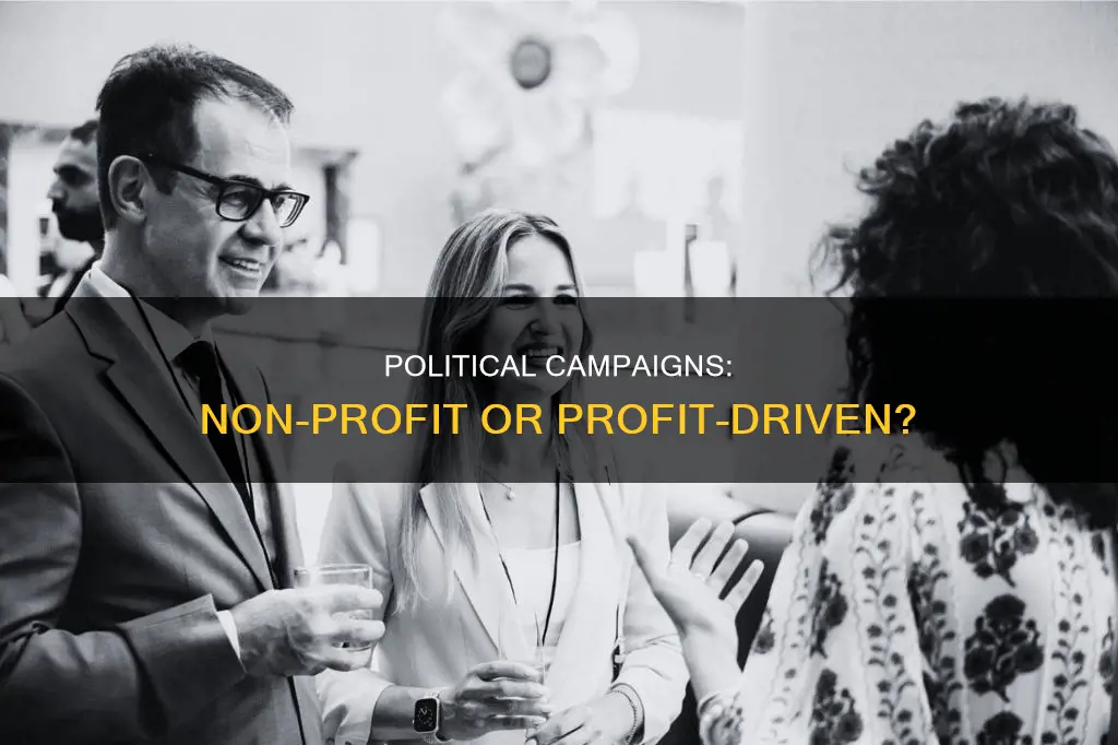 are political campaigns considered non-profit