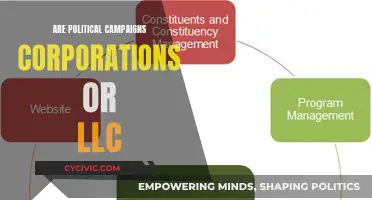 Political Campaigns: Corporations or LLCs?