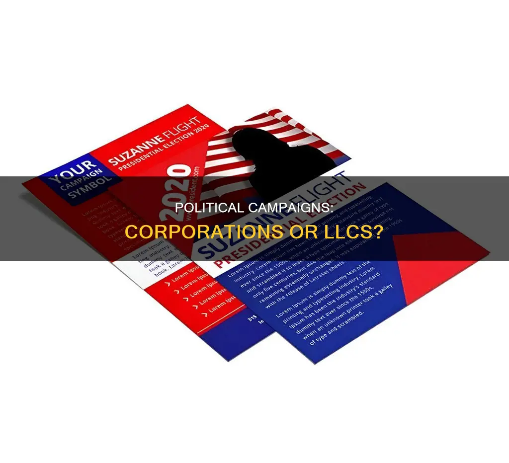 are political campaigns corporations or llc