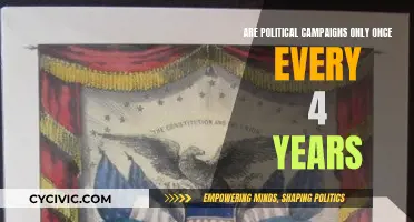 Political Campaigns: A Four-Yearly Event or Constant Strategy?