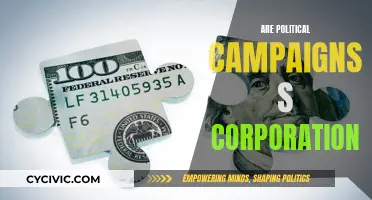 Political Campaigns: The Corporate Connection