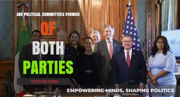 Bipartisan Political Committees: Myth or Reality in Modern Politics?
