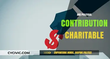 Are Political Contributions Charitable? Exploring the Ethics and Impact
