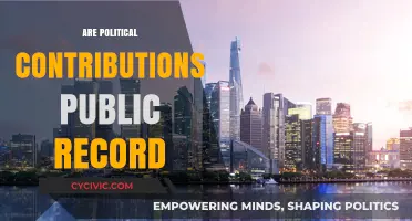 Are Political Contributions Public Record? Transparency and Campaign Finance Explained
