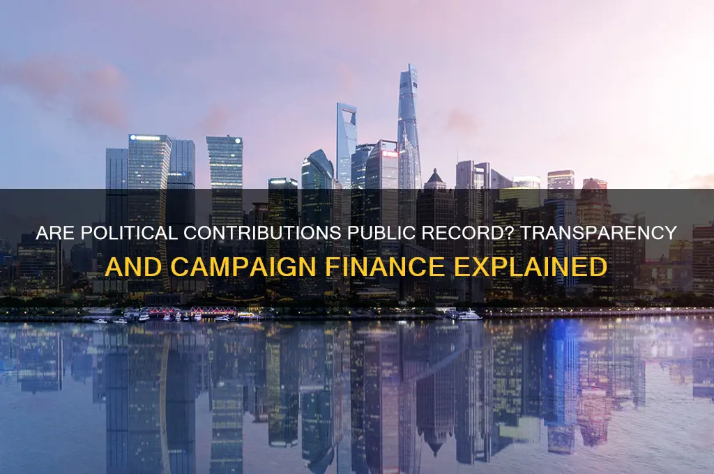 are political contributions public record