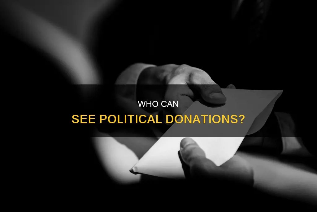 are political contributions public