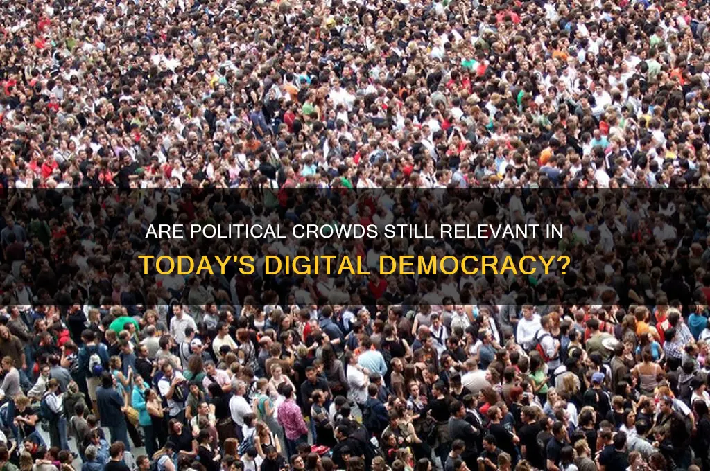 are political crowds relevant