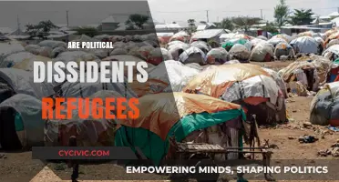 Are Political Dissidents Refugees? Exploring Legal and Ethical Perspectives
