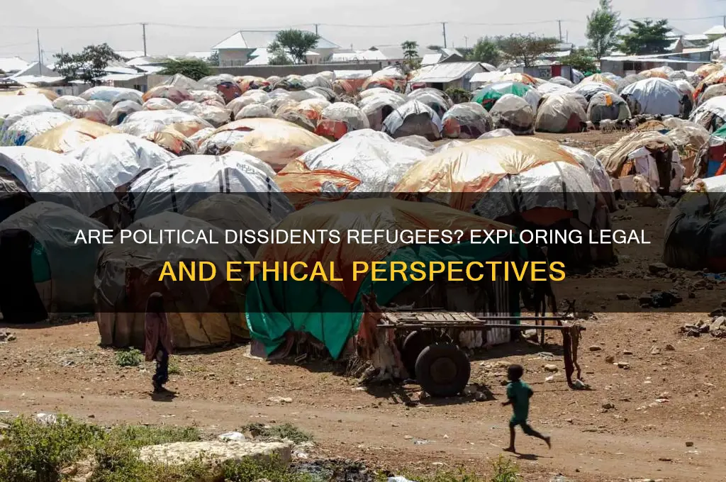 are political dissidents refugees