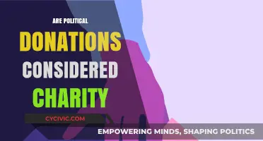 Are Political Donations Charitable? Exploring the Ethics and Tax Implications