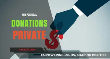 Are Political Donations Private? Transparency vs. Confidentiality in Campaign Funding