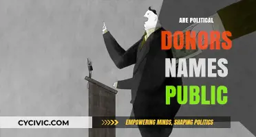 Are Political Donor Names Public? Transparency and Campaign Finance Laws