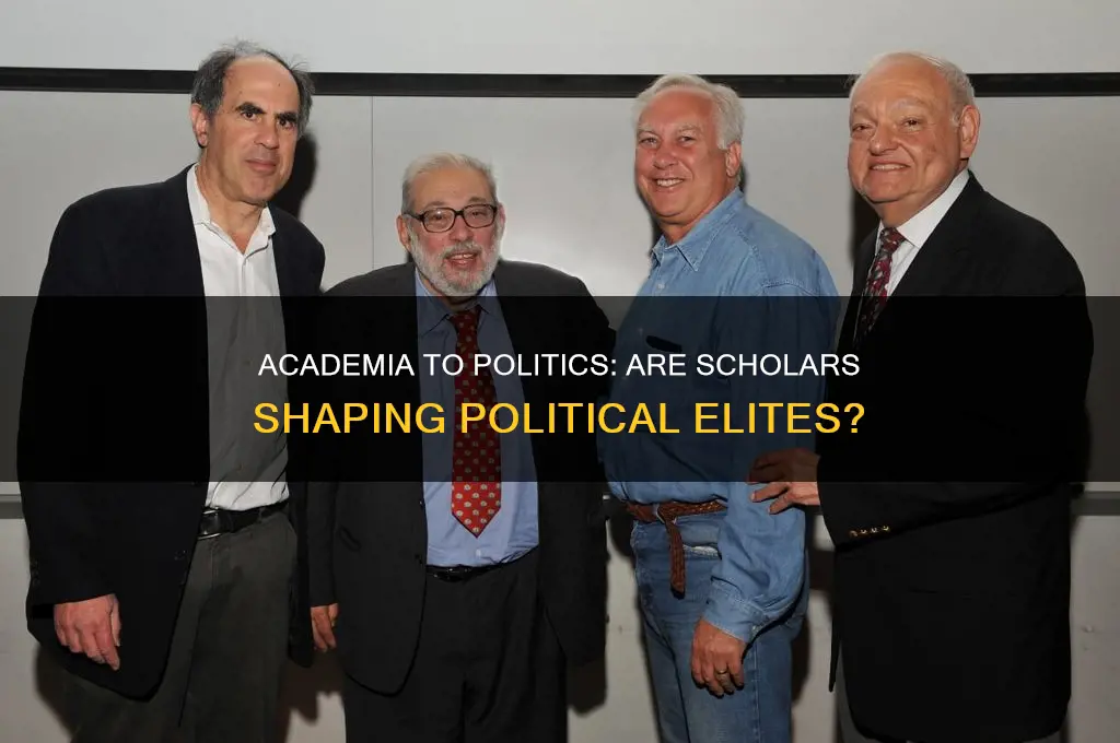 are political elites from academia