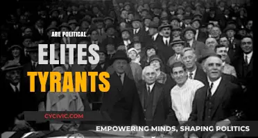 Are Political Elites Modern Tyrants? Examining Power and Democracy Today