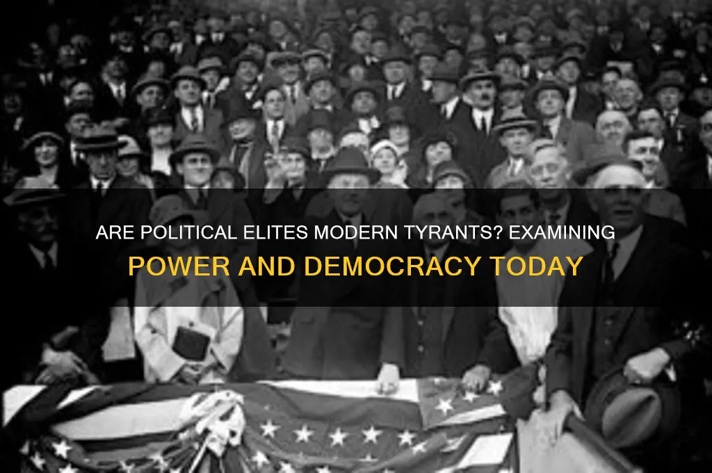are political elites tyrants