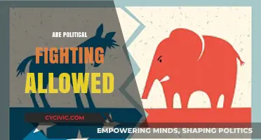 Are Political Fights Allowed? Exploring Boundaries in Modern Democracy