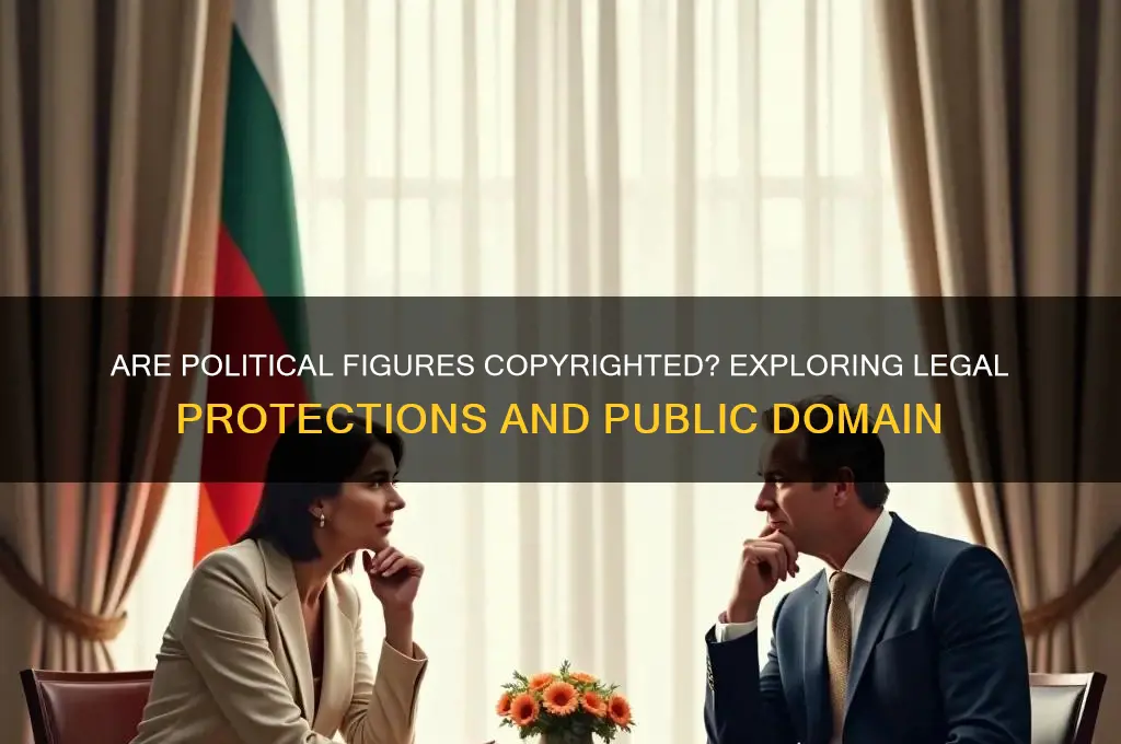are political figures copyrighted