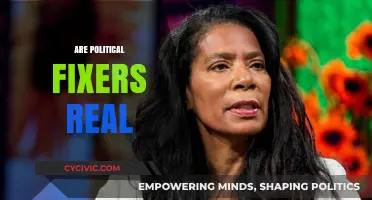 Unveiling the Truth: Do Political Fixers Really Exist?