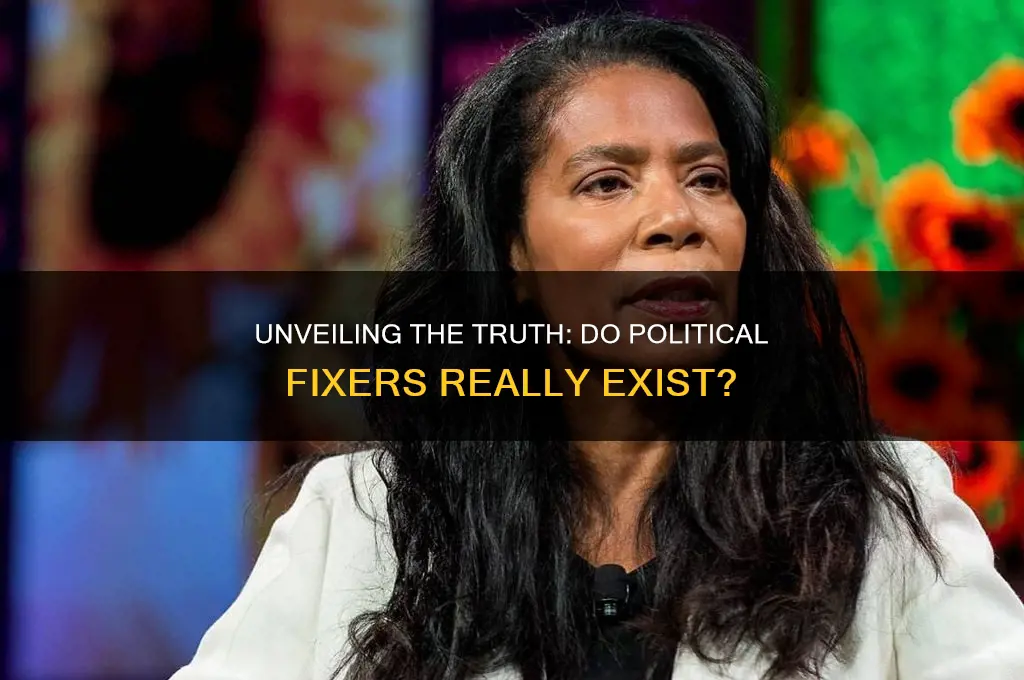 are political fixers real