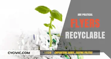 Recycling Political Flyers: Eco-Friendly Disposal Tips for Campaign Materials