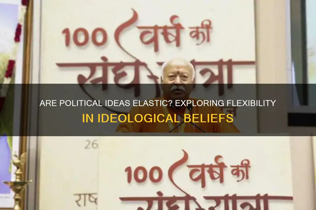 are political ideas elastic