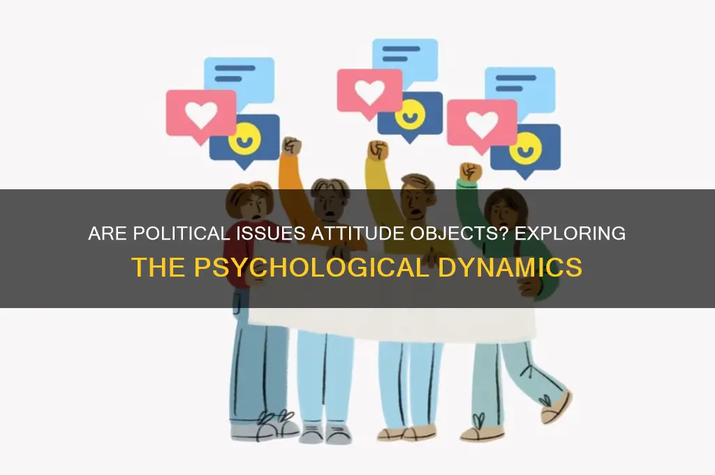 are political issues attitude objects