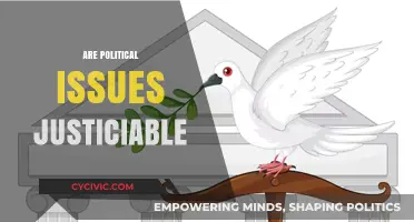 Are Political Issues Justiciable? Exploring the Role of Courts in Democracy