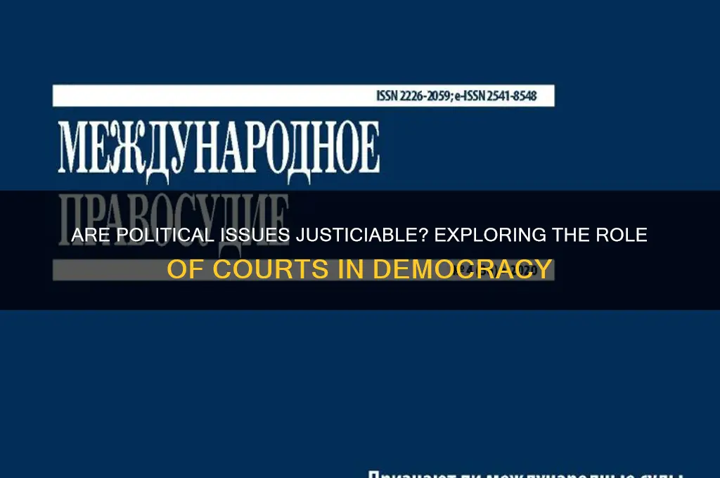 are political issues justiciable