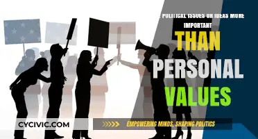 Balancing Act: Political Ideals vs. Personal Values in Today's Society