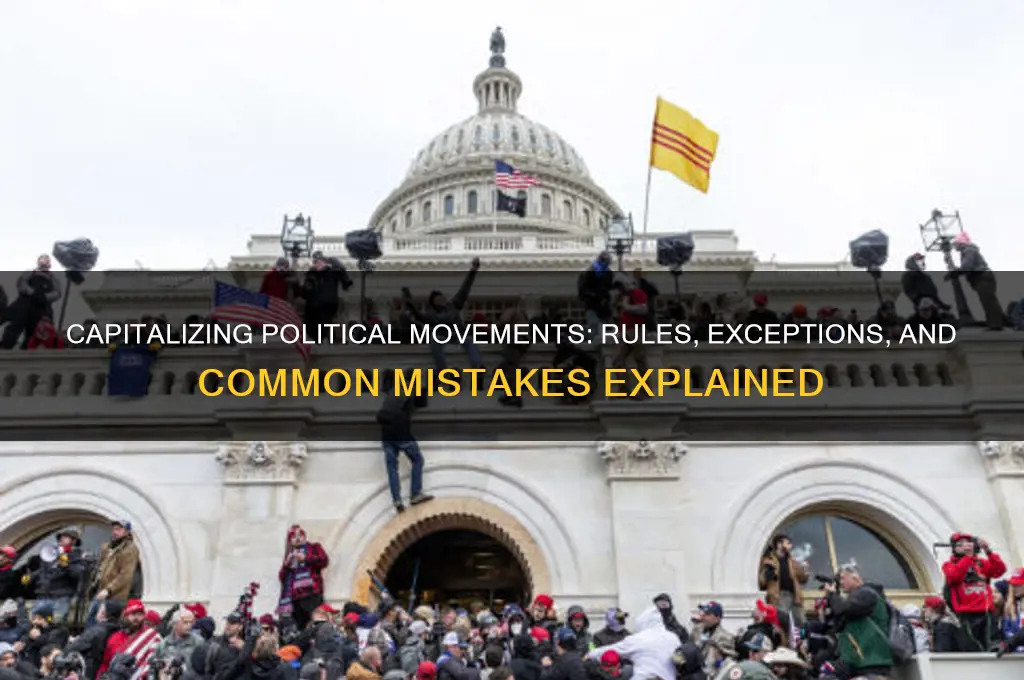 are political movements capitalized