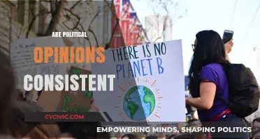 Do Political Beliefs Stay Steady or Shift Over Time?