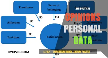 Are Political Opinions Personal Data? Exploring Privacy and Protection