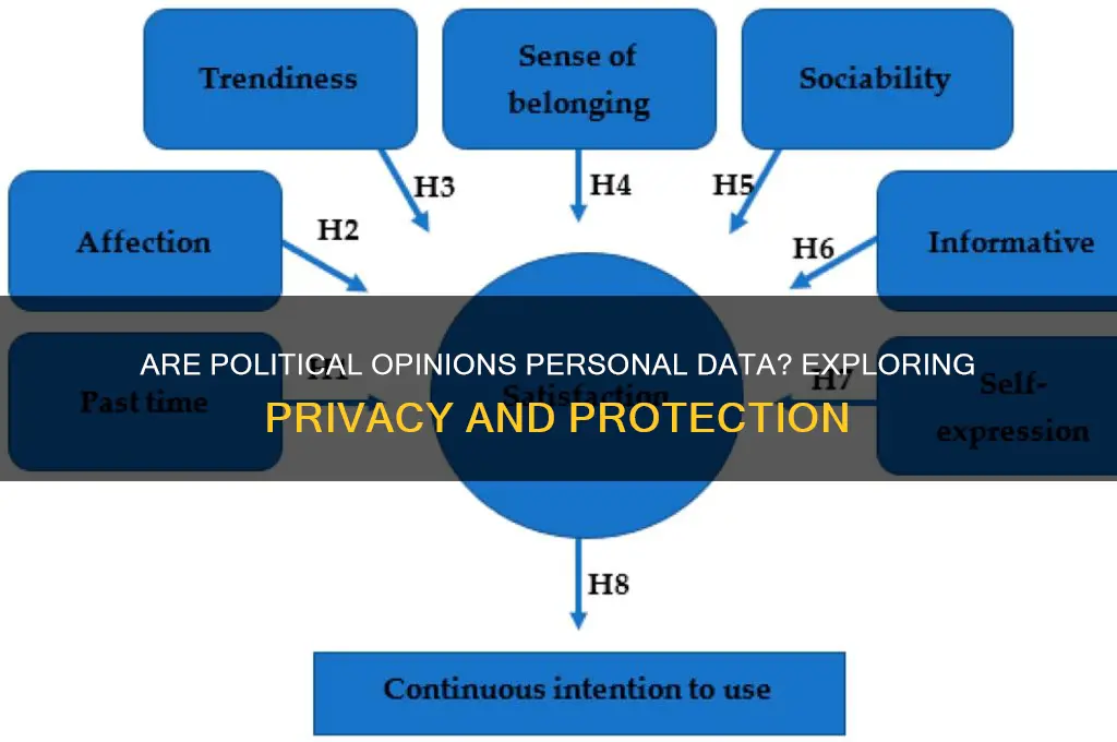 are political opinions personal data