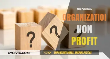 Are Political Organizations Non-Profit? Unraveling the Financial Structure