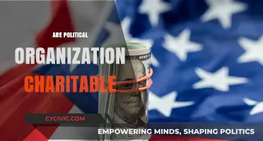 Are Political Organizations Charitable? Exploring the Intersection of Politics and Charity