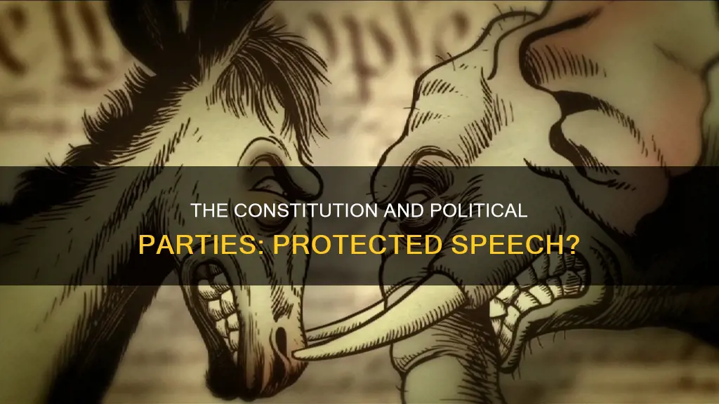 are political paries protected by the constitution