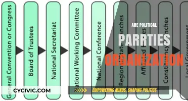 Are Political Parties Truly Organizations or Something More Complex?