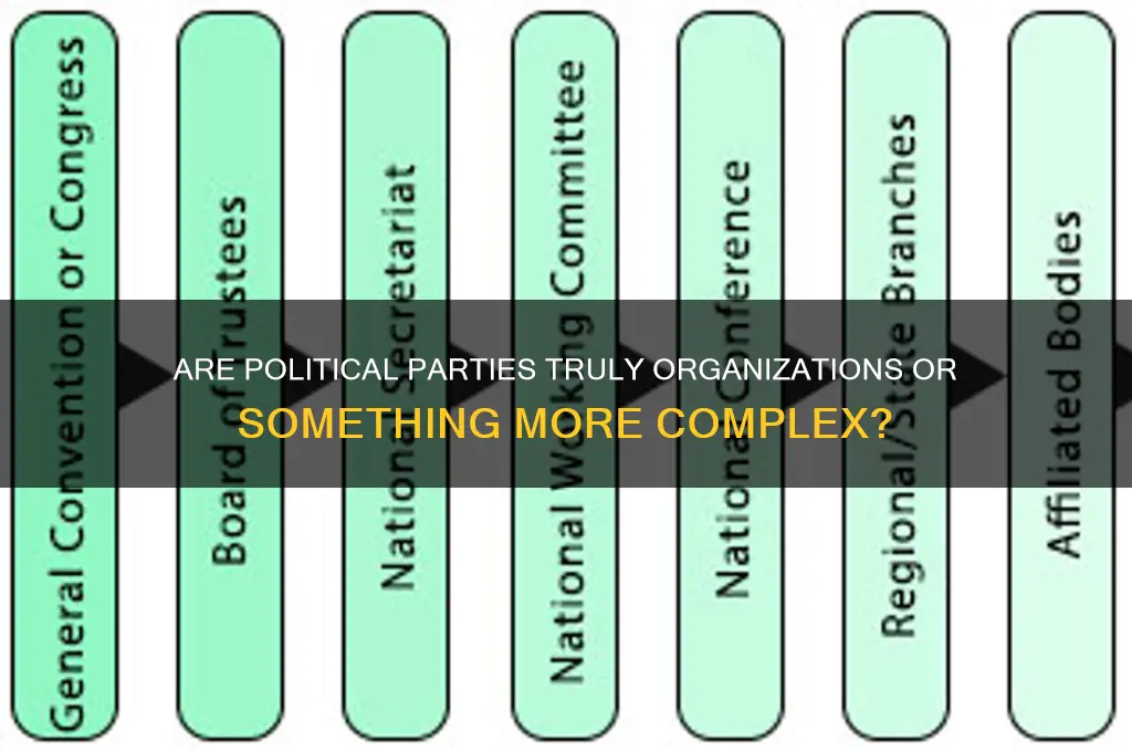 are political parrties organizations