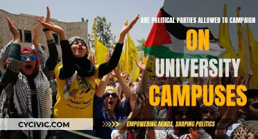 University Politics: Campaigns, Rules, and Student Rights